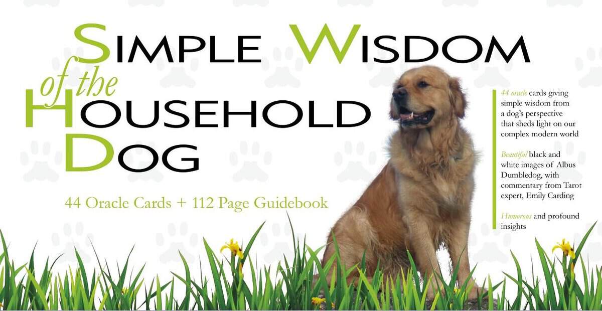 Emily Carding : Simple wisdom of the household dog - an oracle