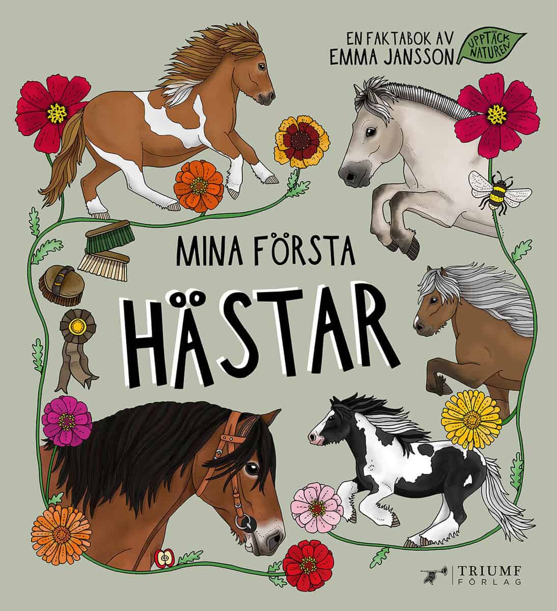 Emma Jansson : Mina första hästar