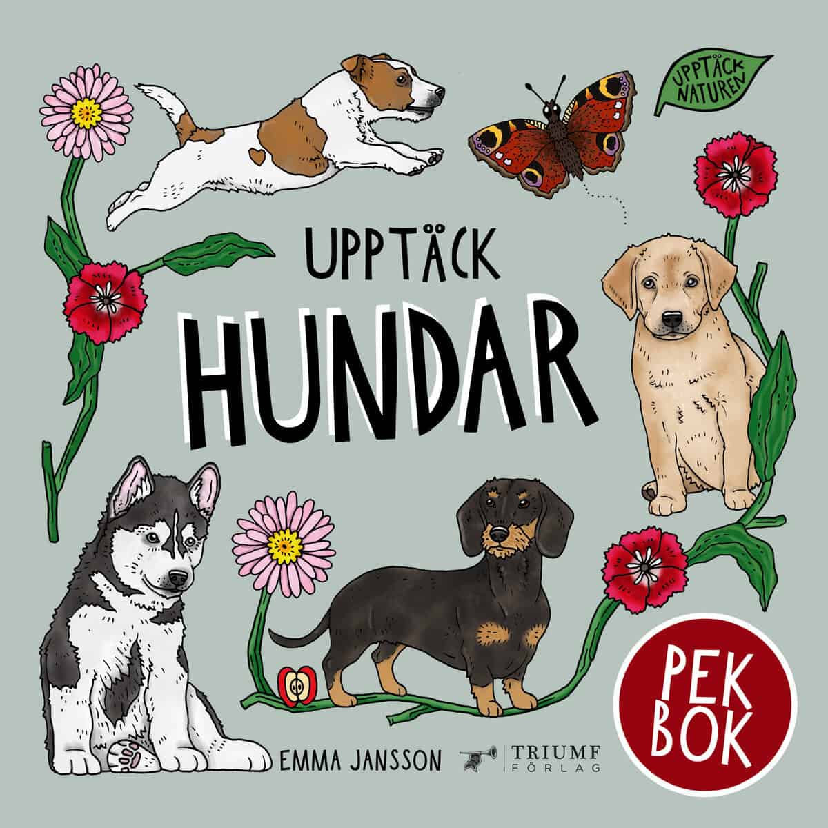 Emma Jansson : Upptäck Hundar