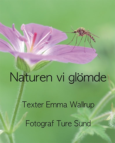 Emma Wallrup : Naturen vi glömde