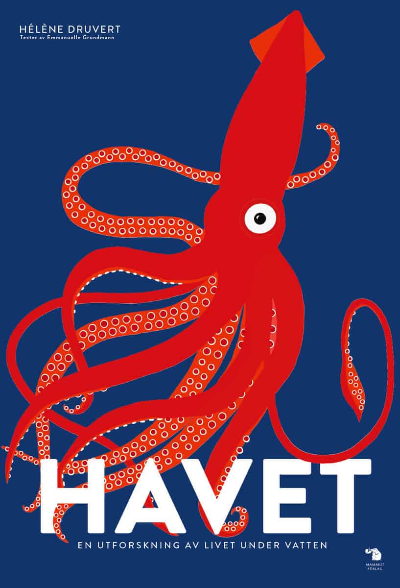 Emmanuelle Grundmann : Havet : en utforskning av livet under vatten