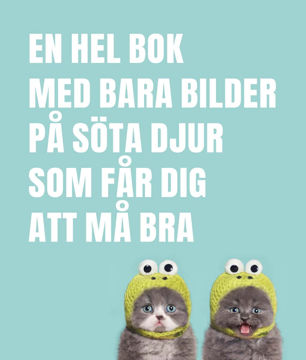 En hel bok med bara bilder på söta djur som får dig att må bra