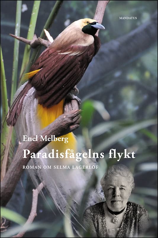 Enel Melberg : Paradisfågelns flykt