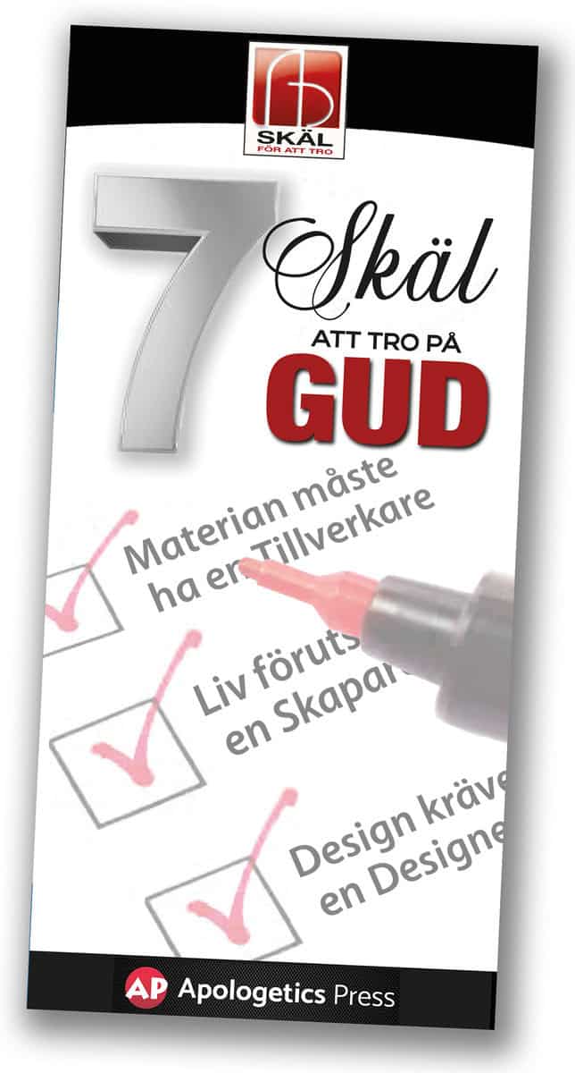 Lyons, Eric ; Butt, Kyle : 7 Skäl att tro på Gud