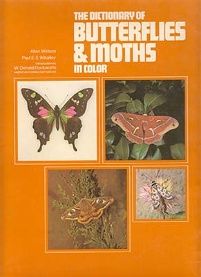 Eric Roberts Laithwaite : The Dictionary of Butterflies and Moths in Color.