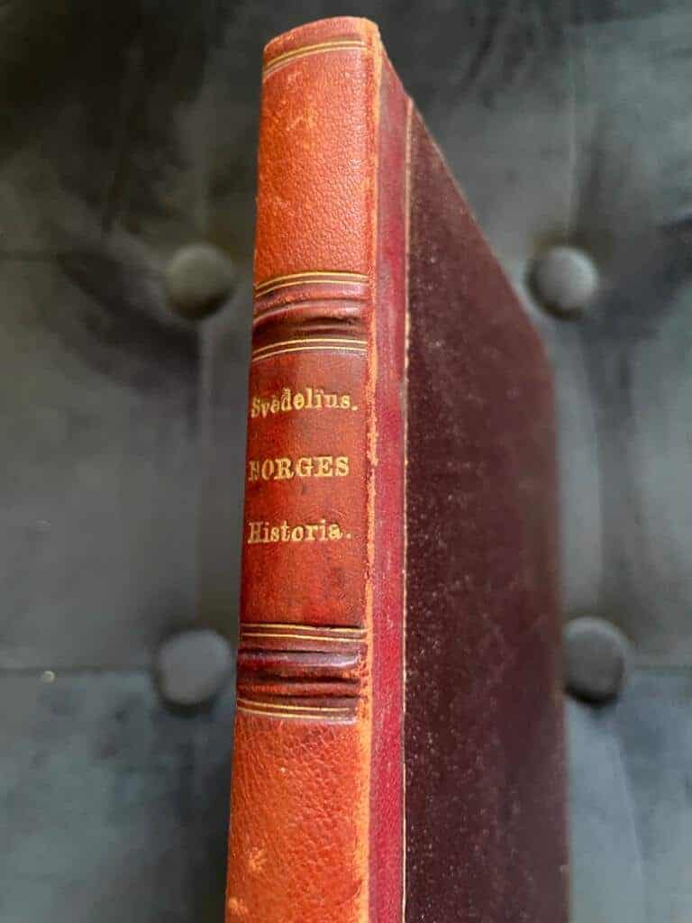 Eric Wilh. Svedelius : Stycken ur Norges historia. Föreläsningar hållna år 1866 i Stockholm