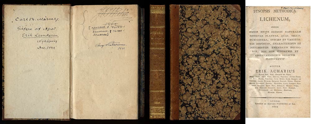 Erik Acharius : Synopsis methodica lichenum, sistens omnes hujus ordinis naturalis detectas plantas, quas, secundum genera, species et varietates disposuit, characteribus et differentiis emendatis definivit, nec non synonymis et observationibus selectis