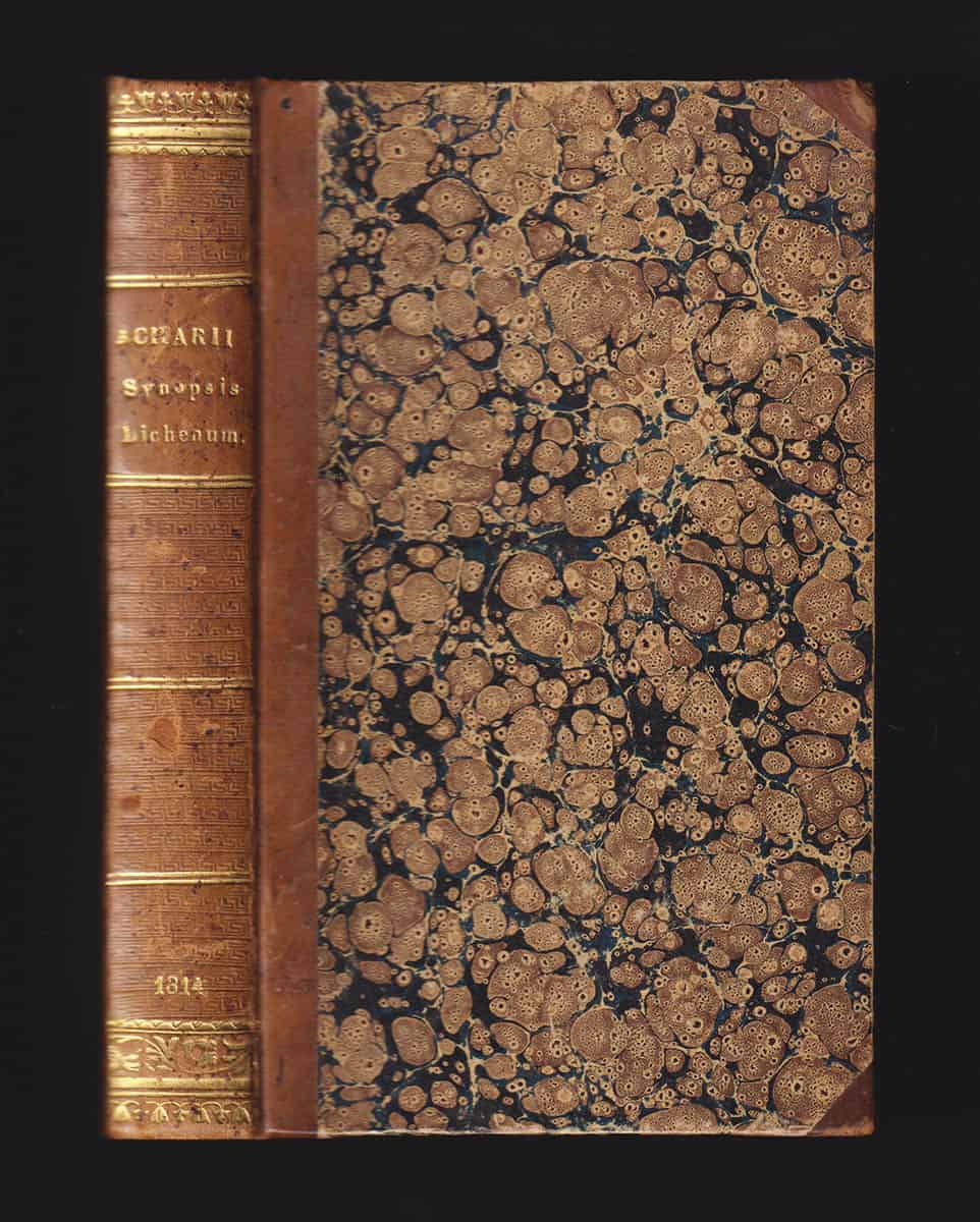 Erik Acharius : Synopsis methodica lichenum, sistens omnes hujus ordinis naturalis detectas plantas, quas, secundum genera, species et varietates disposuit, characteribus et differentiis emendatis definivit, nec non synonymis et observationibus selectis
