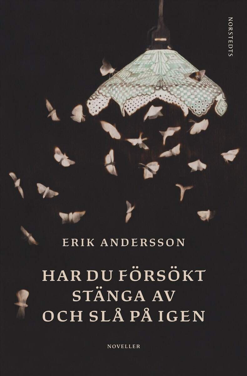 Erik Andersson : Har du försökt stänga av och slå på igen : noveller