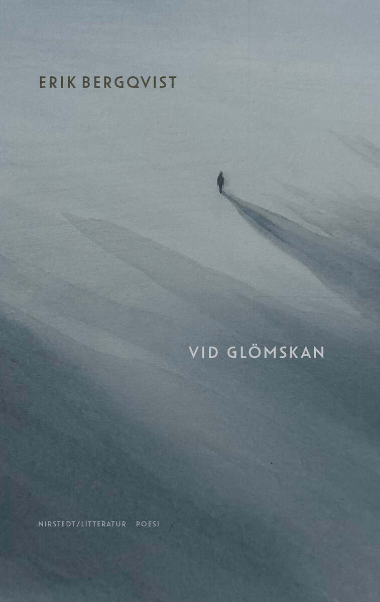 Erik Bergqvist : Vid glömskan