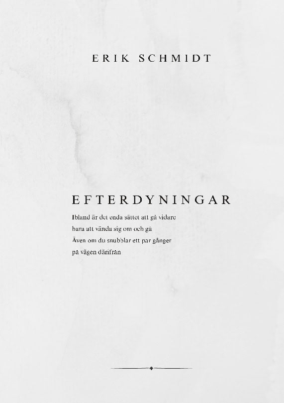Erik Schmidt : Efterdyningar