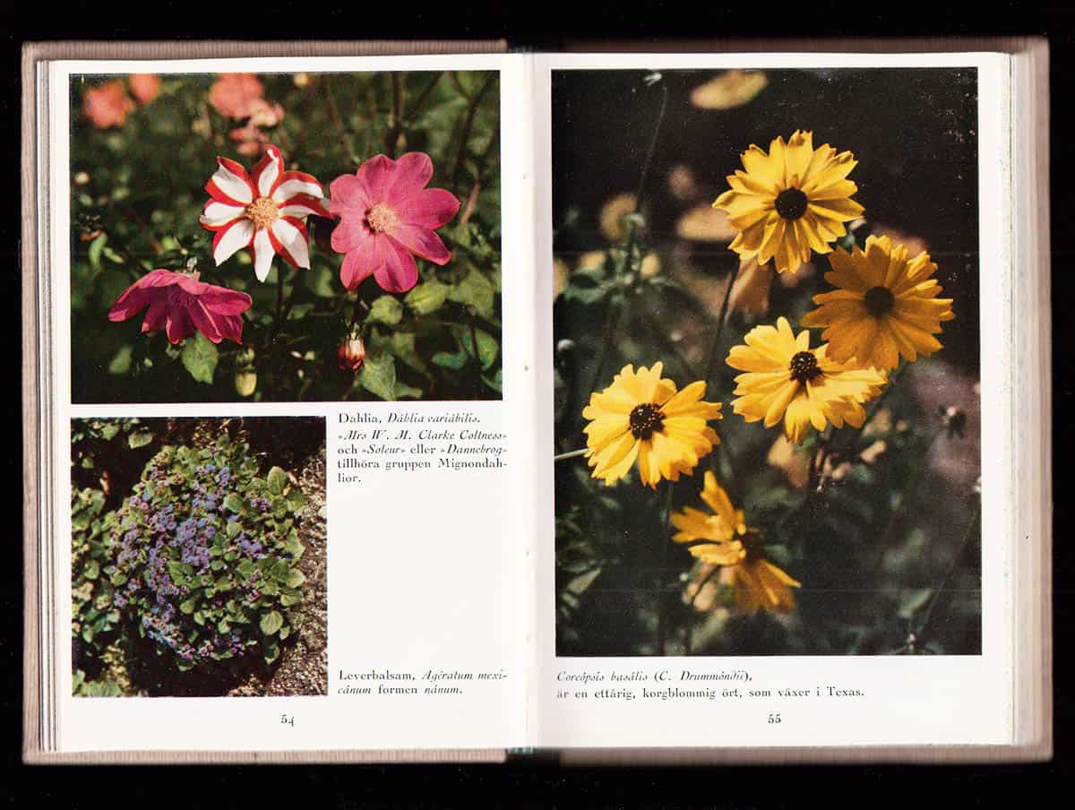 Erik Söderberg : Det blomsterprydda huset