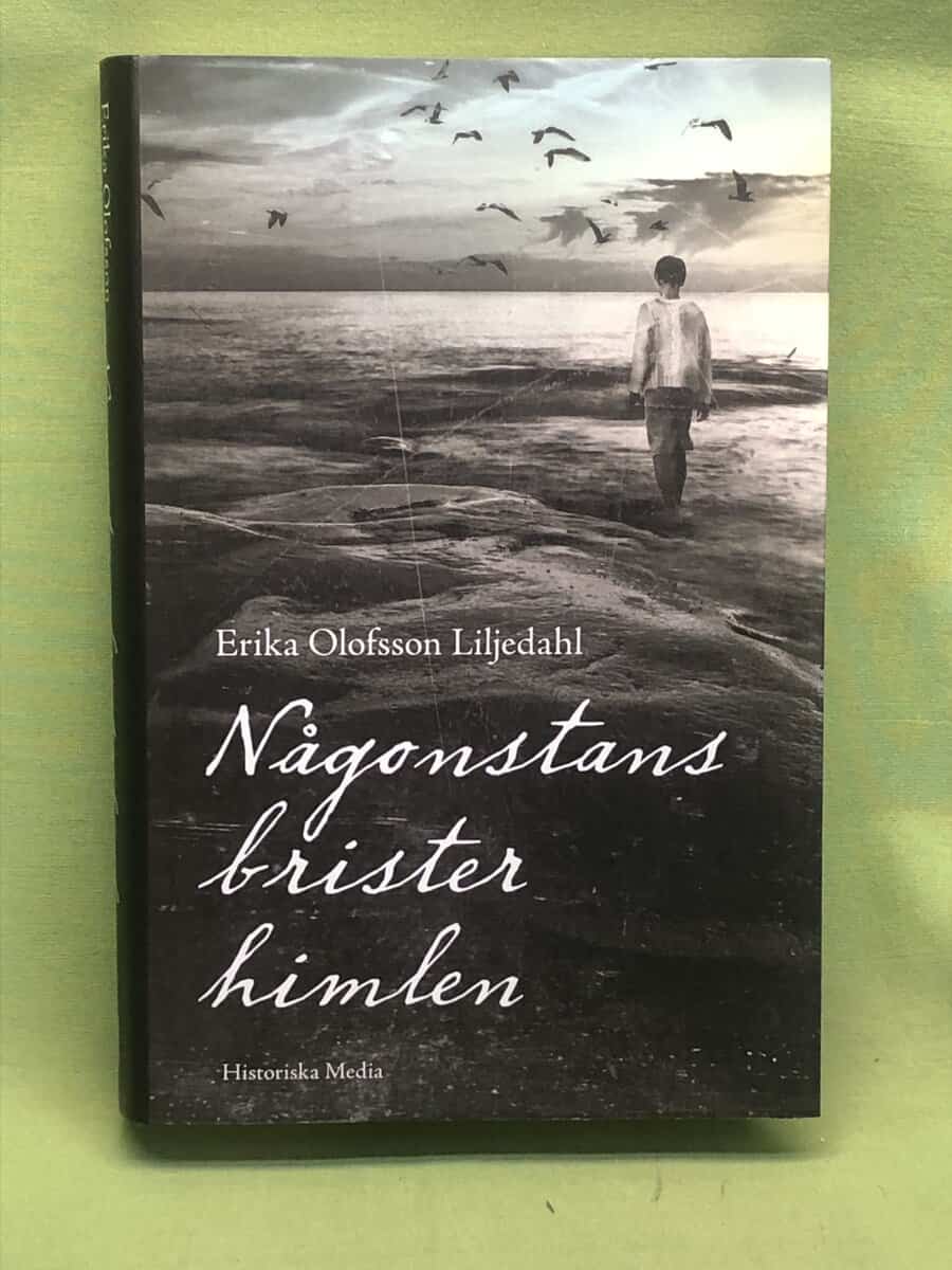 Erika Olofsson Liljedahl : Någonstans brister himlen