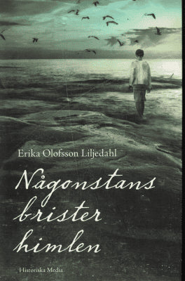 Erika Olofsson Liljedahl : Någonstans brister himlen