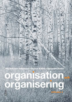 Eriksson-Zetterquist, Ulla ; Kalling, Thomas ; Styhre, Alexander : Organisation och organisering