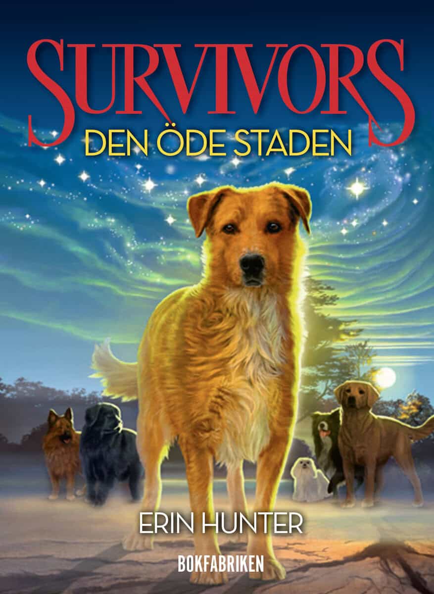 Erin Hunter : Den öde staden