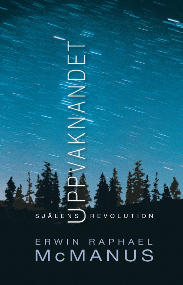Erwin Raphael McManus : Uppvaknandet : Själens revolution