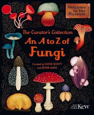 Ester Gaya : The Curator's Collection