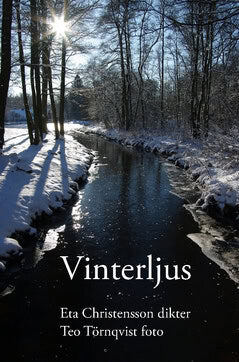 Eta Christensson : Vinterljus