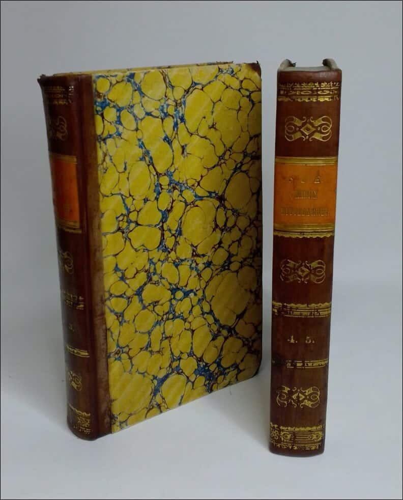 Eugene Sue : Martin, hittebarnet eller en kammartjenares memoirer