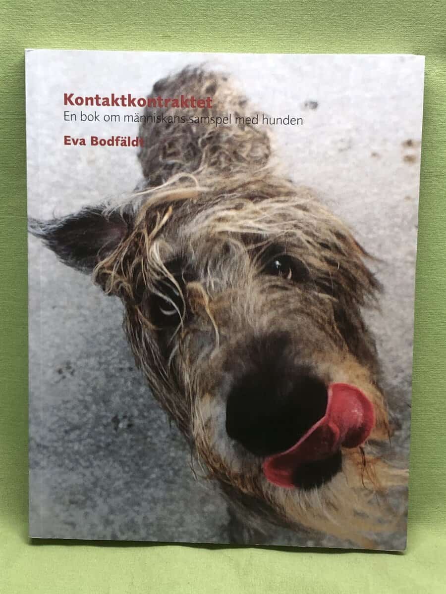 Eva Bodfäldt : Kontaktkontraktet