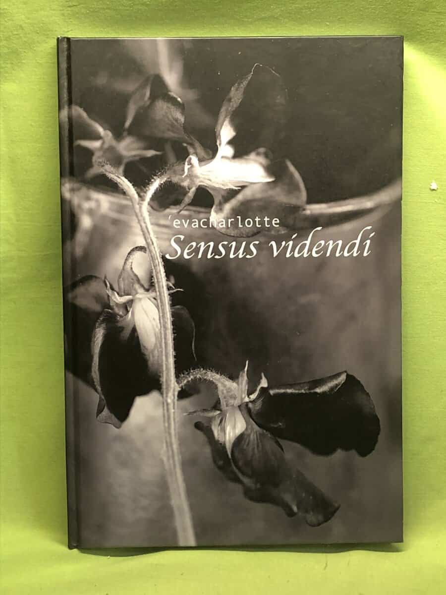 Eva Charlotte Fransson : Sensus videndi - Att se och förnimma