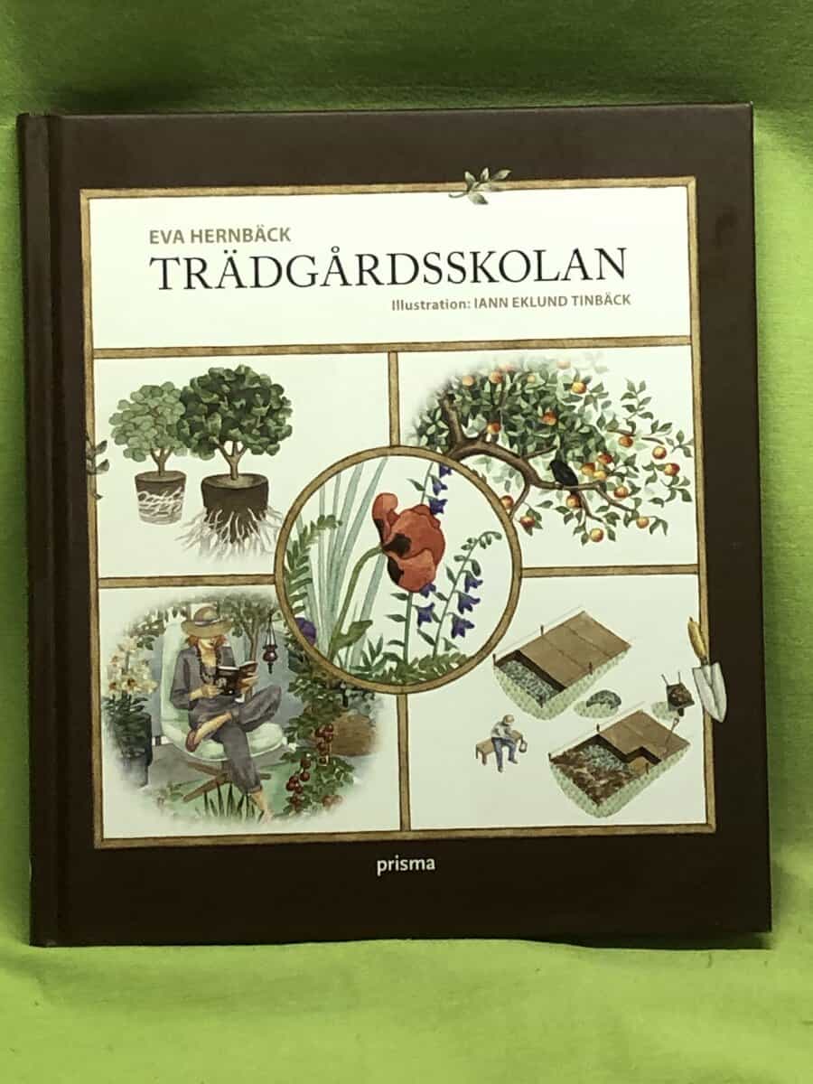 Eva Hernbäck : Trädgårdsskolan