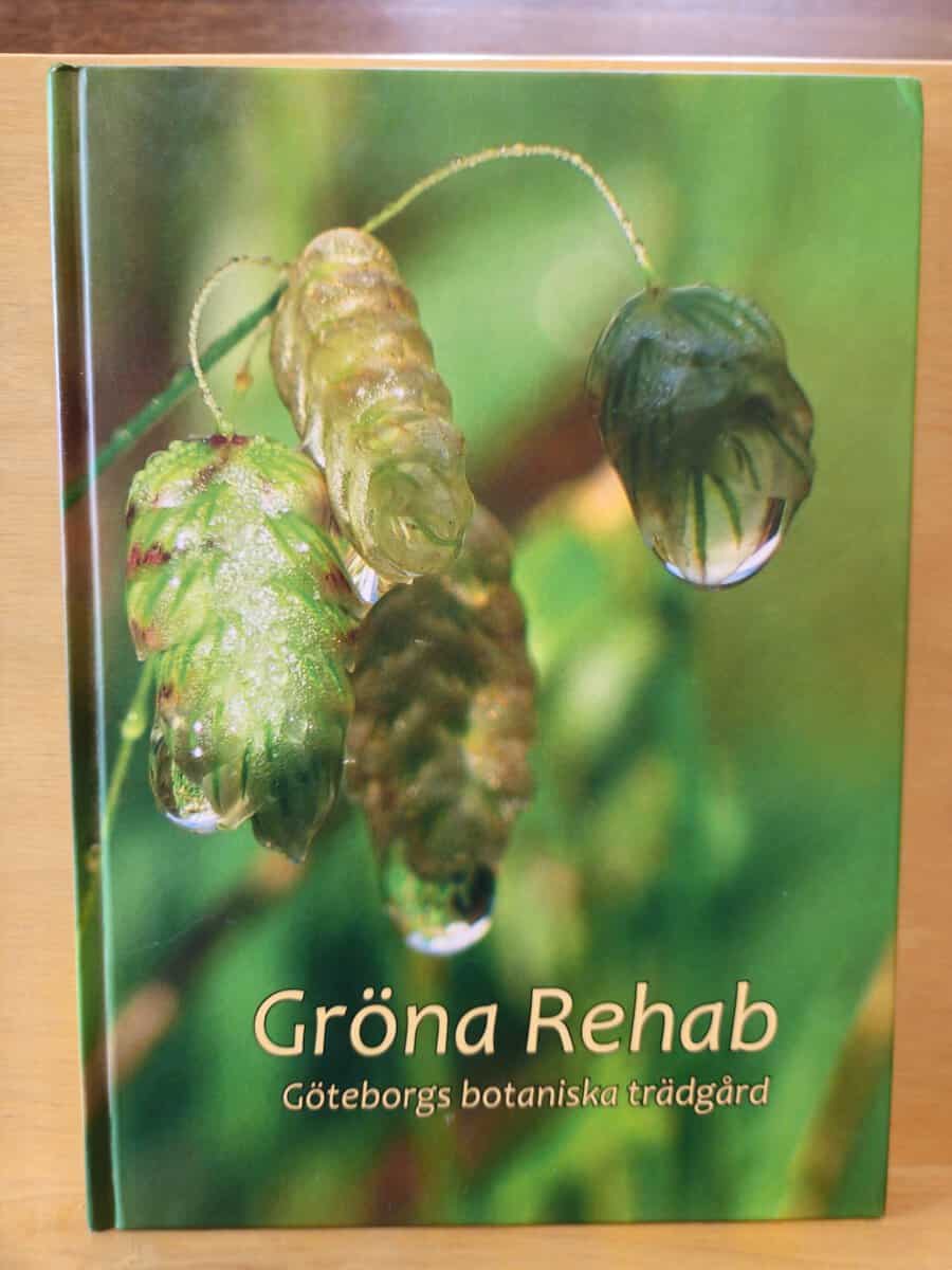 Eva-Lena Larsson : Gröna rehab
