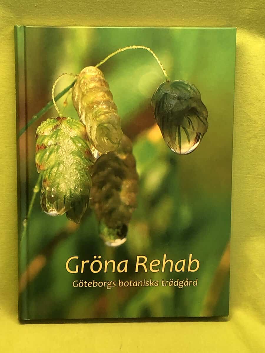 Eva-Lena Larsson : Gröna rehab