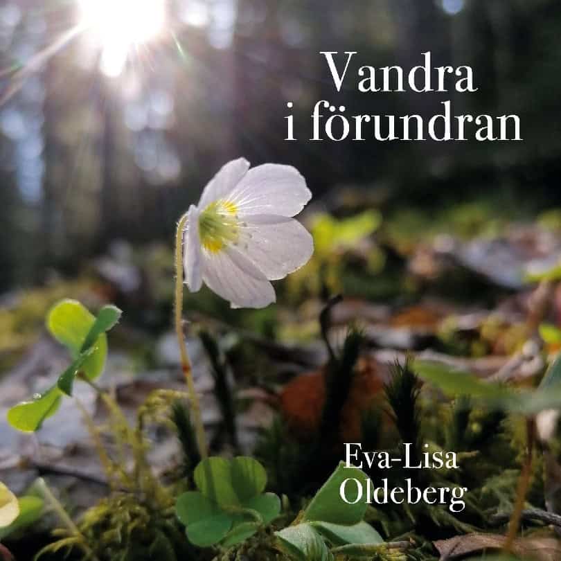 Eva-Lisa Oldeberg : Vandra i förundran