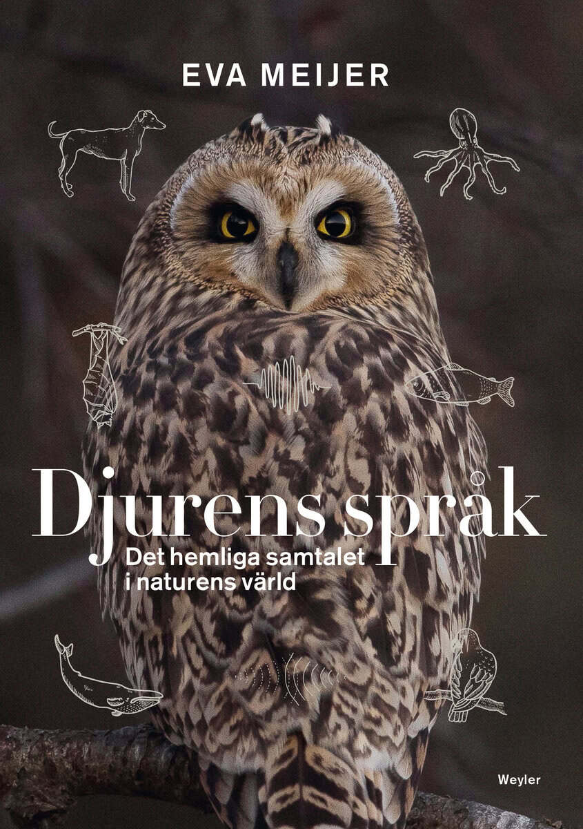 Eva Meijer : Djurens språk : det hemliga samtalet i naturens värld