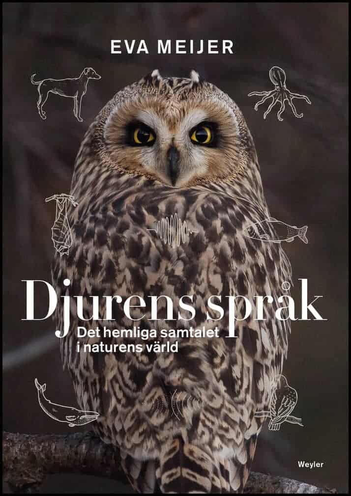 Eva Meijer : Djurens språk