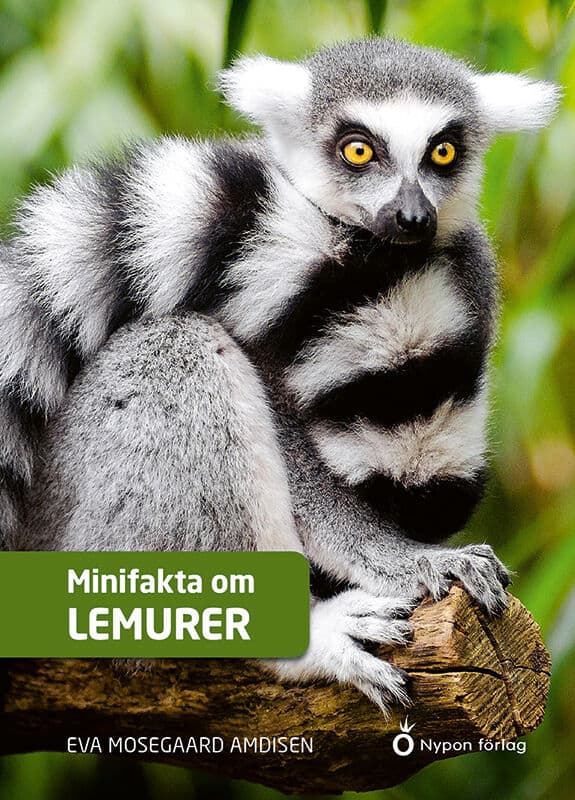 Eva Mosegaard Amdisen : Minifakta om lemurer