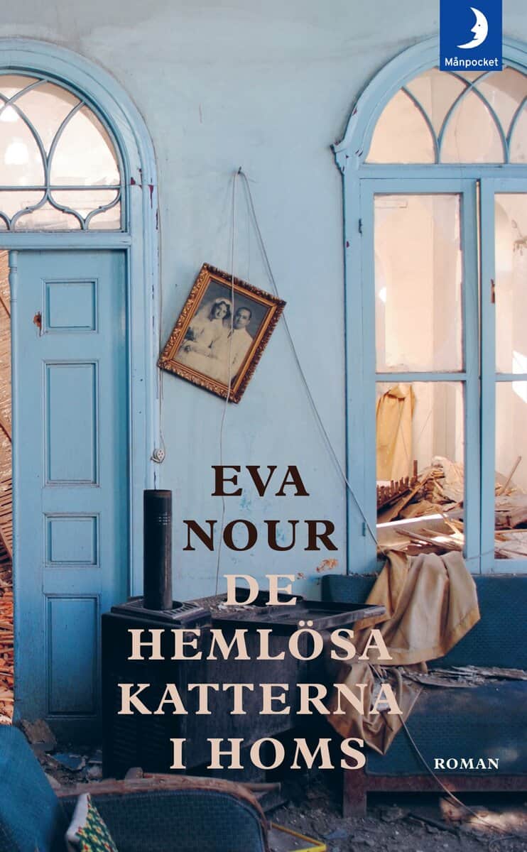 Eva Nour : De hemlösa katterna i Homs