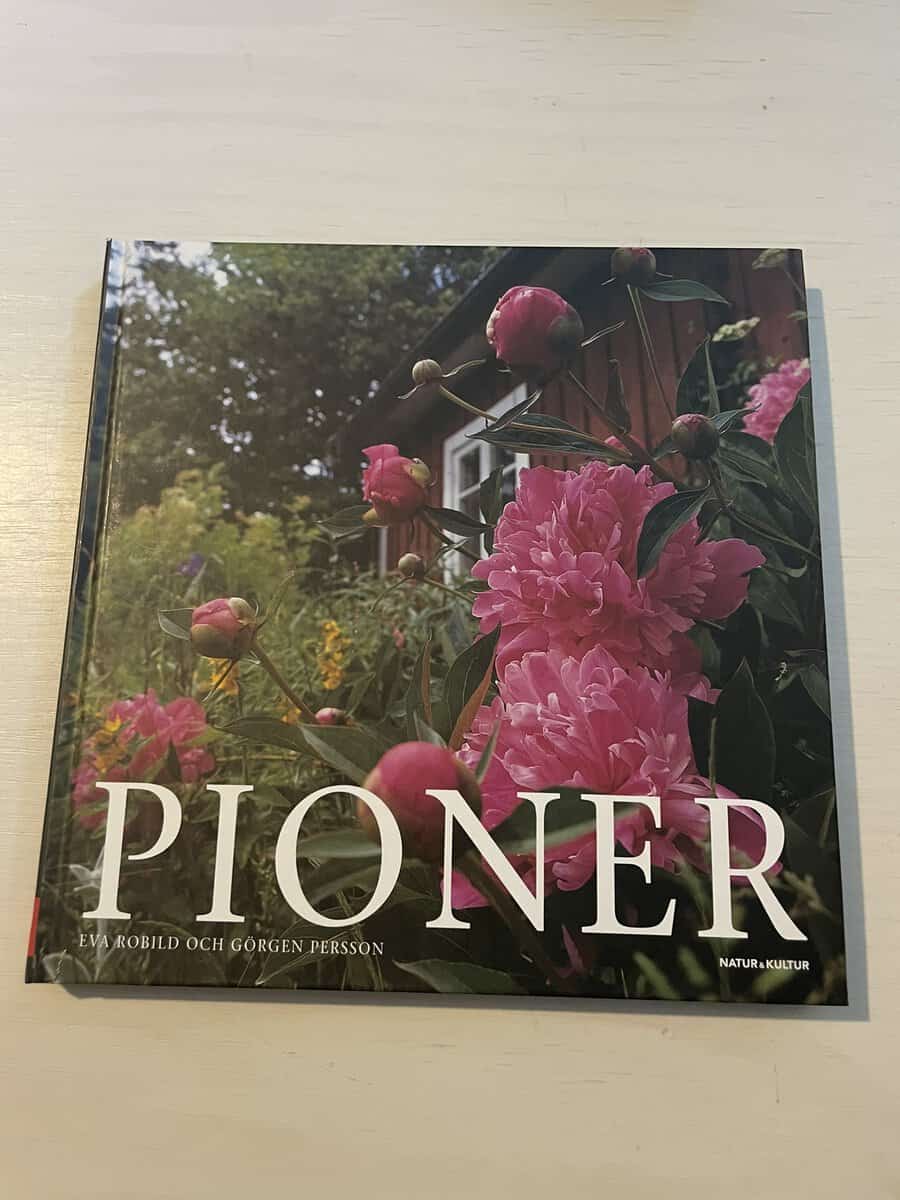 Eva Robild : Pioner