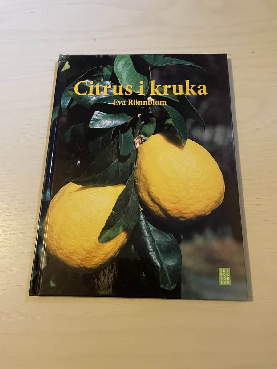 Eva Rönnblom : Citrus i kruka
