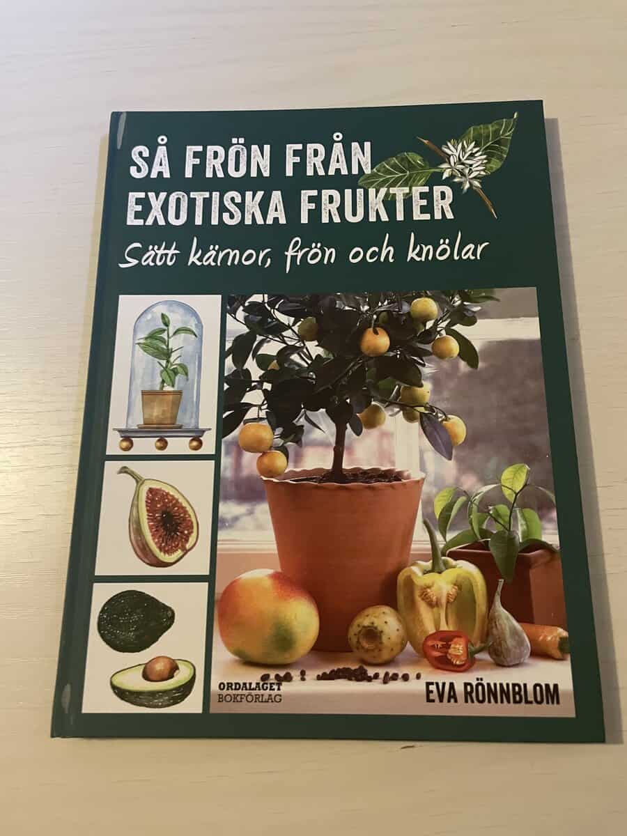 Eva Rönnblom : Så frön från exotiska frukter sätt kärnor, frön och knölar