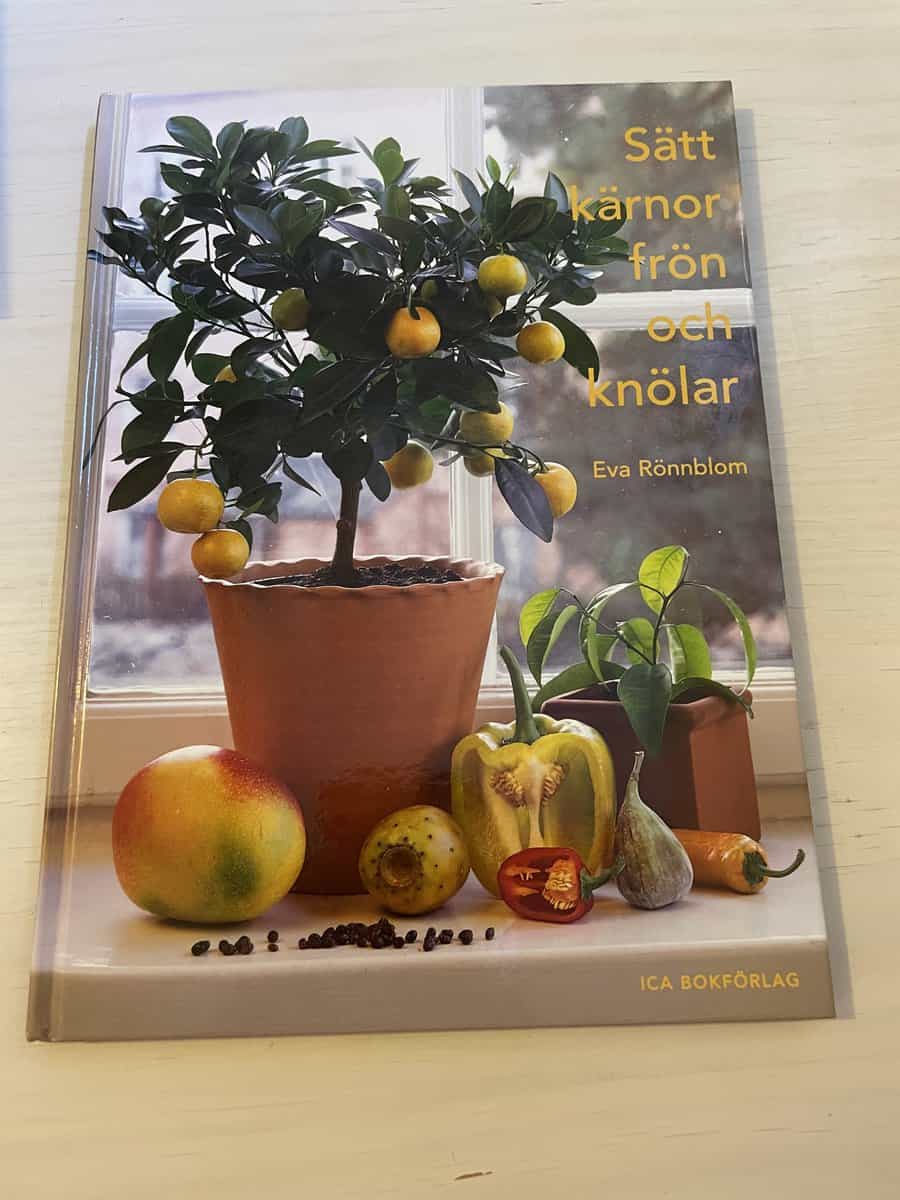 Eva Rönnblom : Sätt kärnor, frön och knölar