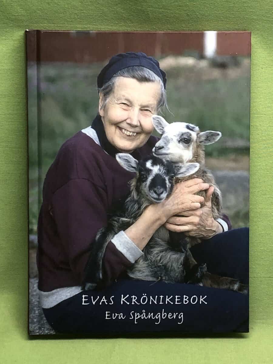 Eva Spångberg : Evas krönikebok