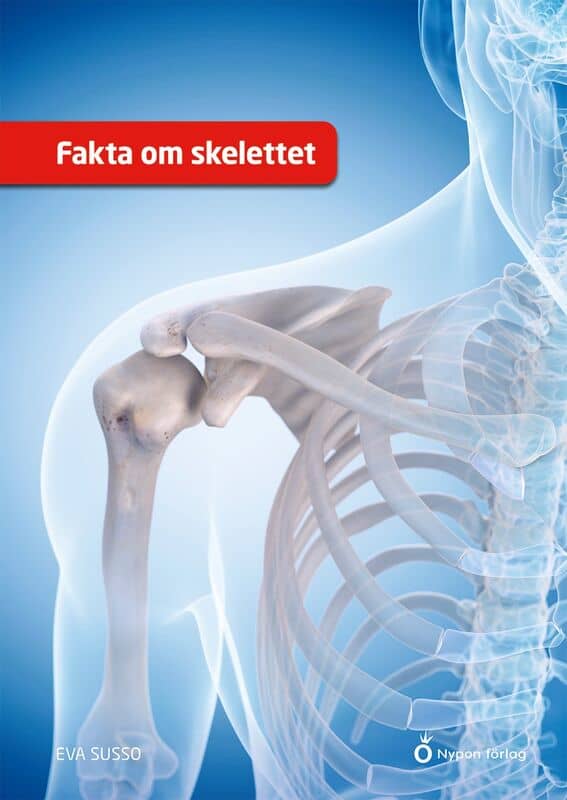 Eva Susso : Fakta om skelettet