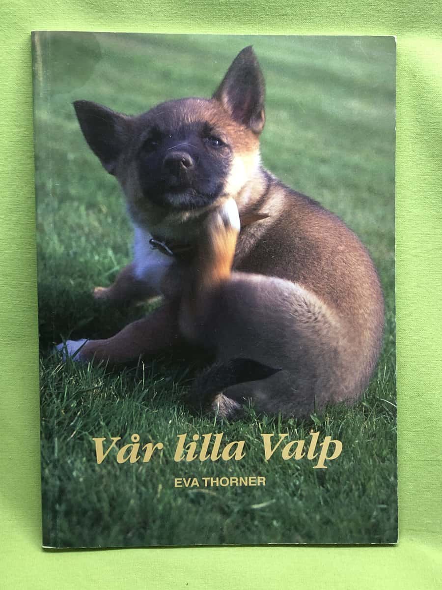Eva Thorner : Vår lilla valp