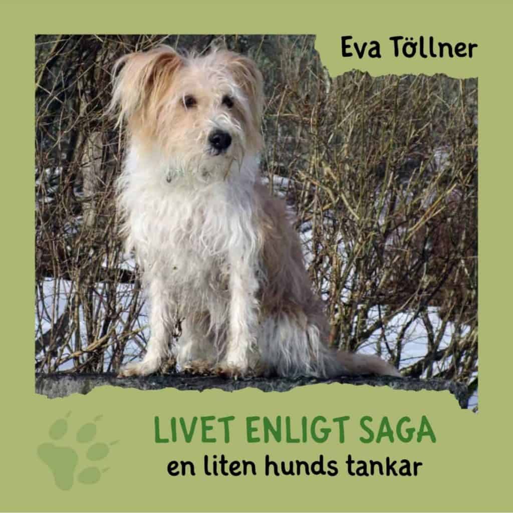 Eva Töllner : Livet enligt Saga : en liten hunds tankar