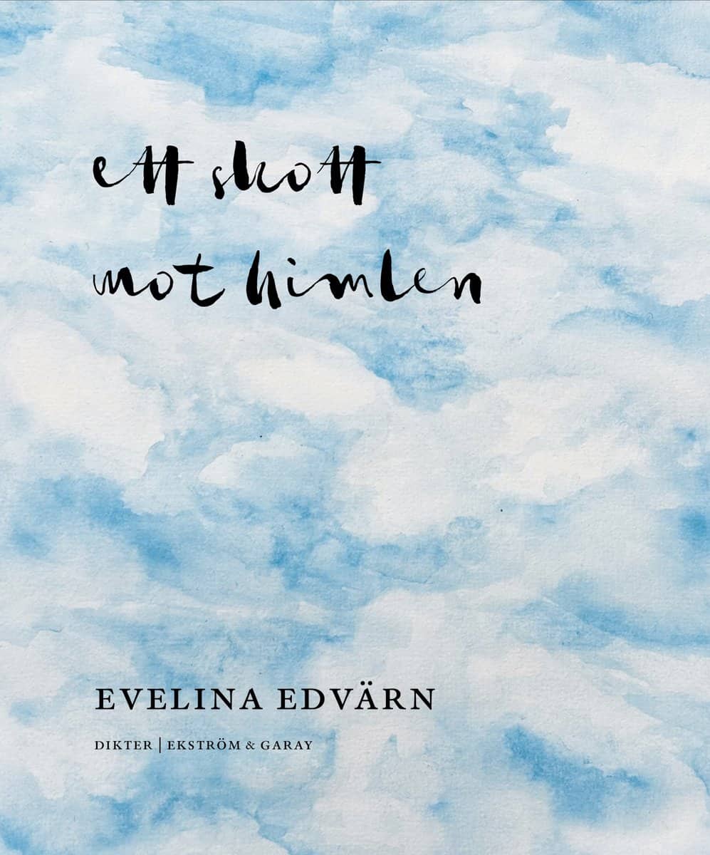 Evelina Edvärn : Ett skott mot himlen
