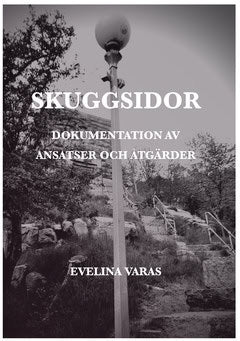 Evelina Varas : Skuggsidor : dokumentation av ansatser och åtgärder