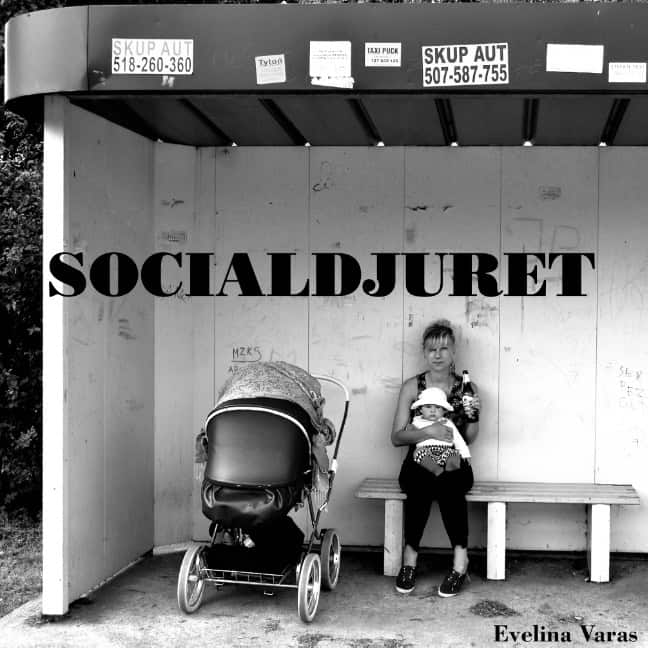 Evelina Varas : Socialdjuret : Socialdjuret