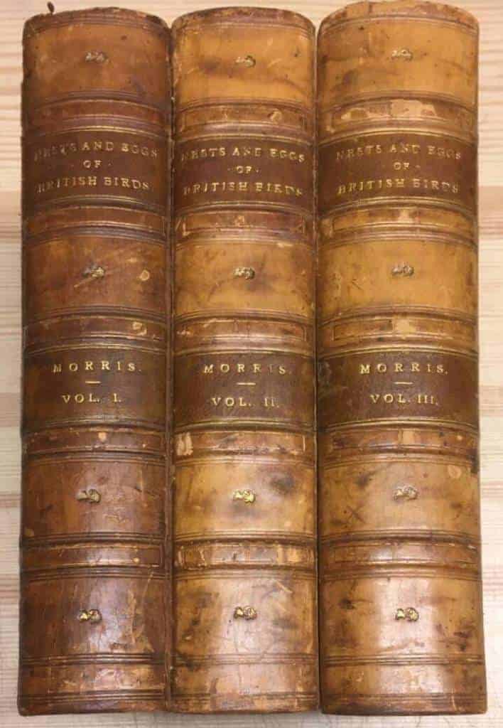 F O Morris : A Natural History of the Nests and Eggs of British Birds. 4th edition. With 248 plates chiefly coloured by hand. In Three Volumes.