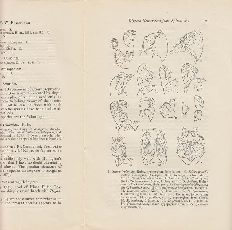 F. W. Edwards : Result of the Oxford University Expedition to Spitsbergen, 1921. No. 14. Diptera Nematocera