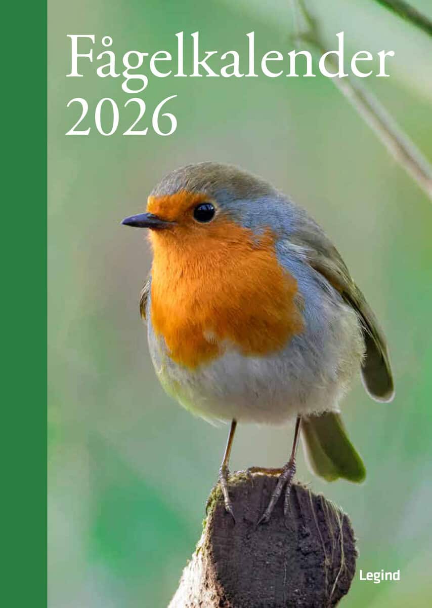 Fågelkalender 2026