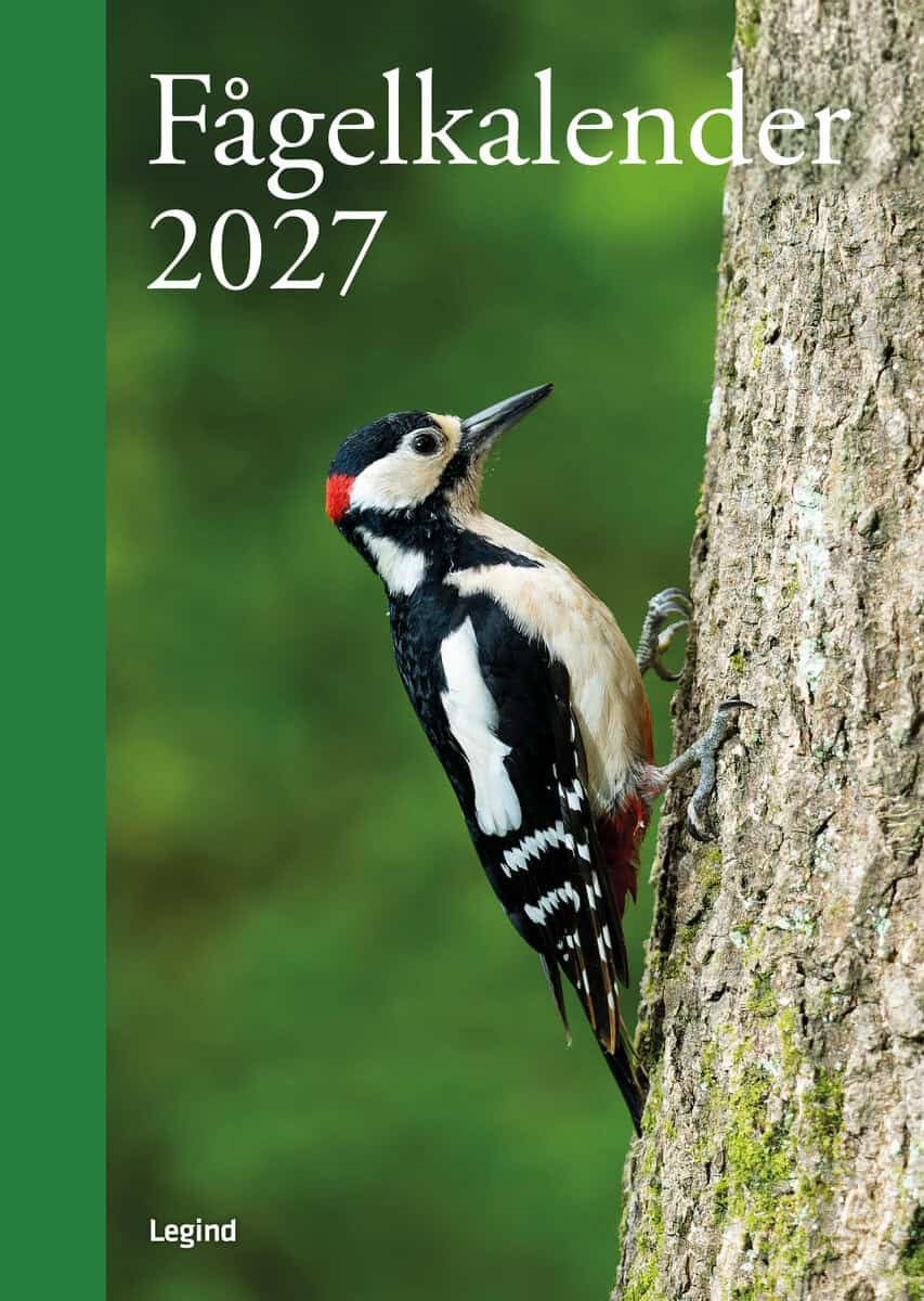 Fågelkalender 2027