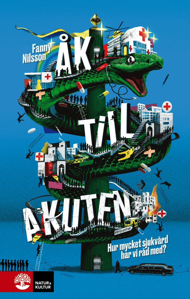 Fanny Nilsson : Åk till akuten : hur mycket sjukvård har vi råd med?